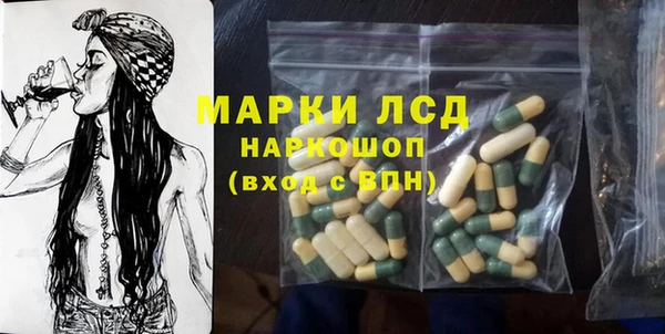 гашик Алексин