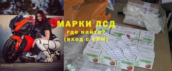 гашик Алексин
